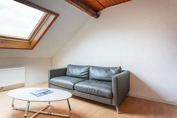 Nice Attic 1-Bedroom Apartment with Exposed Beams near Lausanne Train Station Interior 2