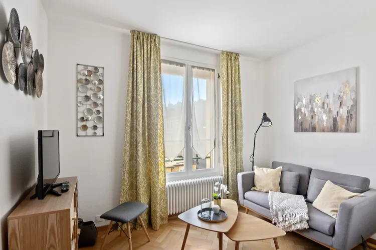 Elegant 1 bedroom apartment in Pâquis, Geneva Interior 1