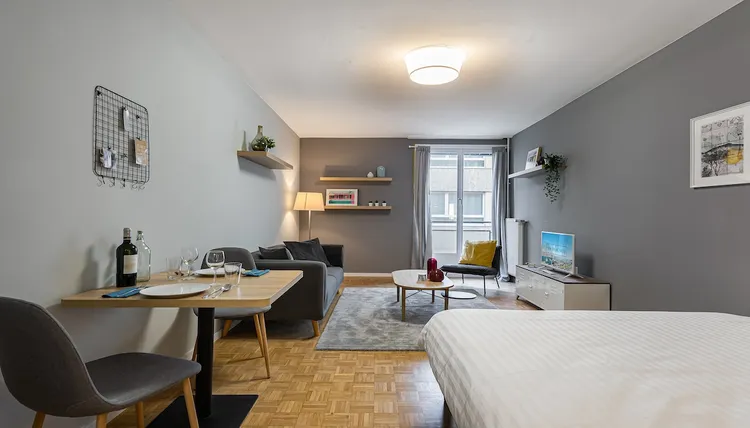 Elegant studio apartment low-budget in Nations, Geneva