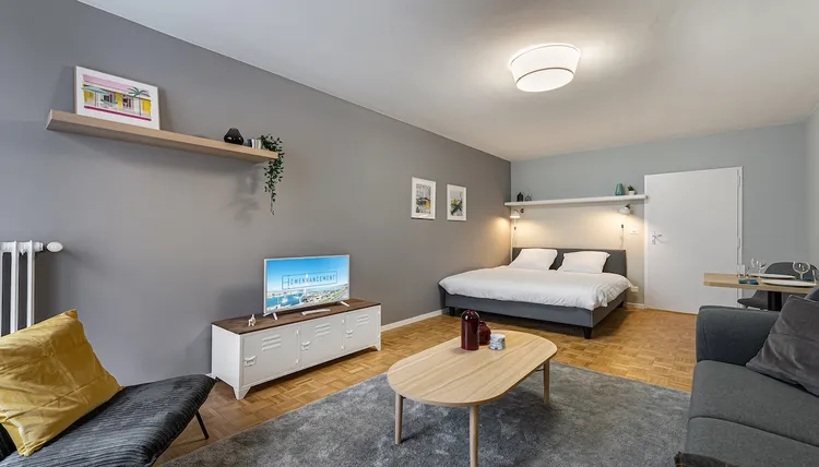 Elegant studio apartment low-budget in Nations, Geneva Interior 2