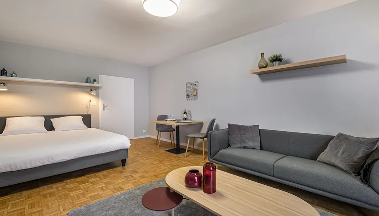 Elegant studio apartment low-budget in Nations, Geneva Interior 3