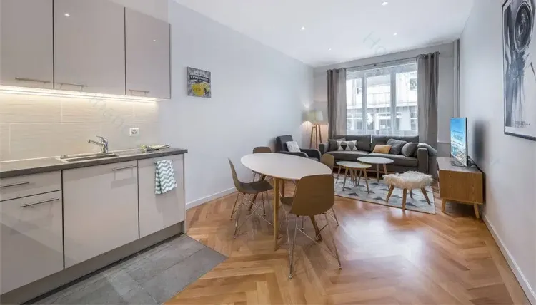 Spacieux appartement avec deux chambres à coucher à Plainpalais, Genève Interior 1