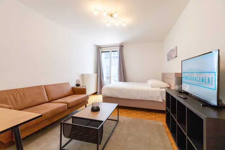 Charming studio apartment low-budget in Nations, Geneva