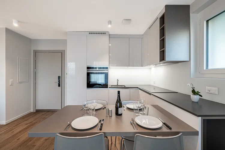 Modern and Bright Studio for Rent in the Heart of Geneva - Rue du Jura 13 Interior 3