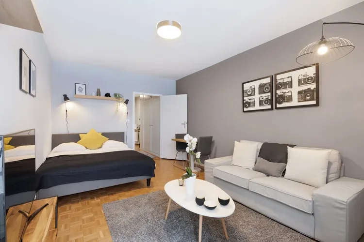 Cozy studio apartment low-budget in Nations, Geneva Interior 4