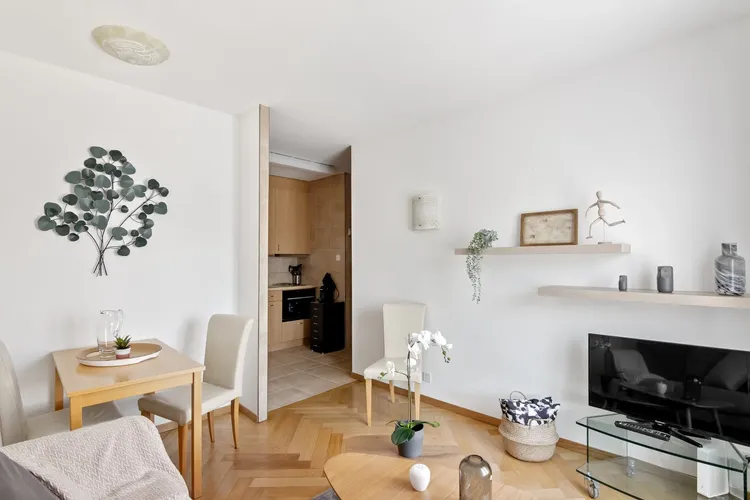 Awesome one bedroom apartment in Pâquis, Geneva Interior 1