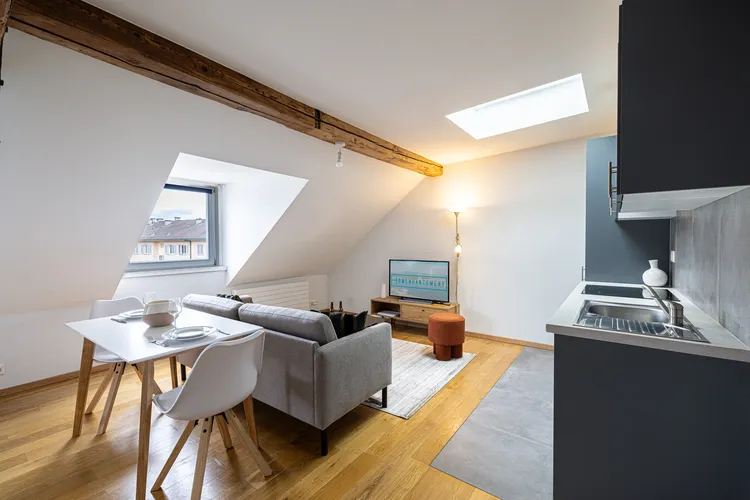 Magnifique studio situé sous les toits de l'avenue Wendt à Genève Interior 2