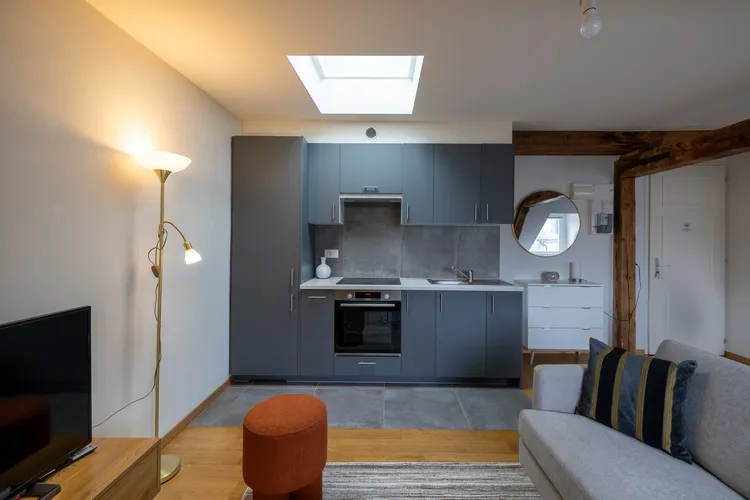 Magnifique studio situé sous les toits de l'avenue Wendt à Genève Interior 3