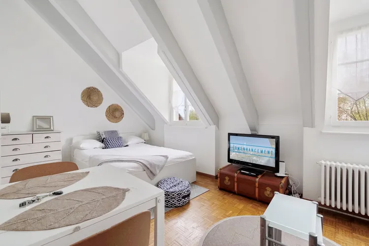 Charming studio apartment low-budget in Carouge, Geneva Interior 1