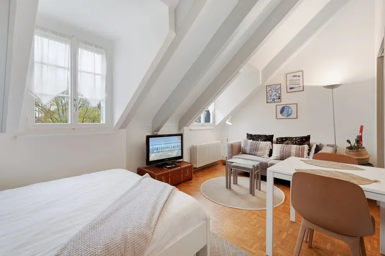 Charming studio apartment low-budget in Carouge, Geneva Interior 4