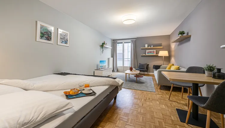 Stylish studio apartment low-budget in Nations, Geneva Interior 1
