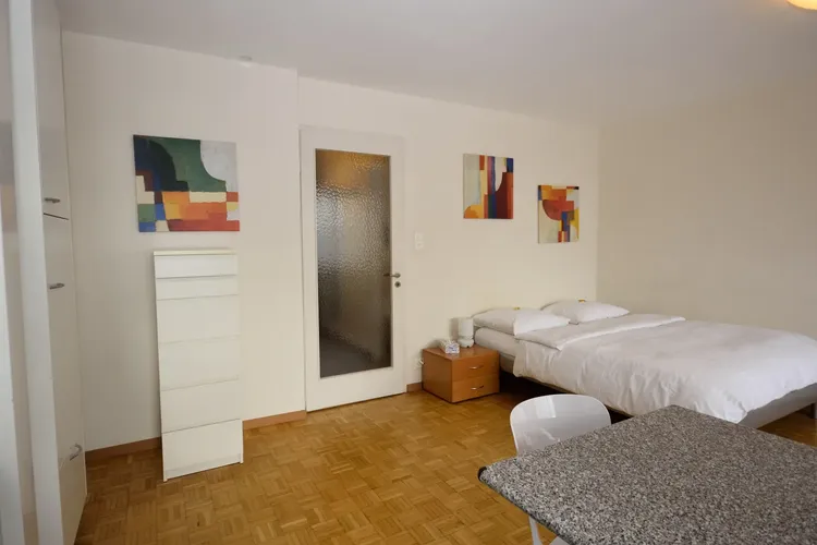 Studio ideally located in the heart of Zurich and close to the Limmat Interior 3