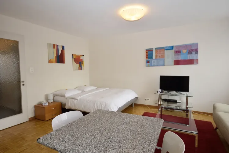 Studio ideally located in the heart of Zurich and close to the Limmat Interior 4
