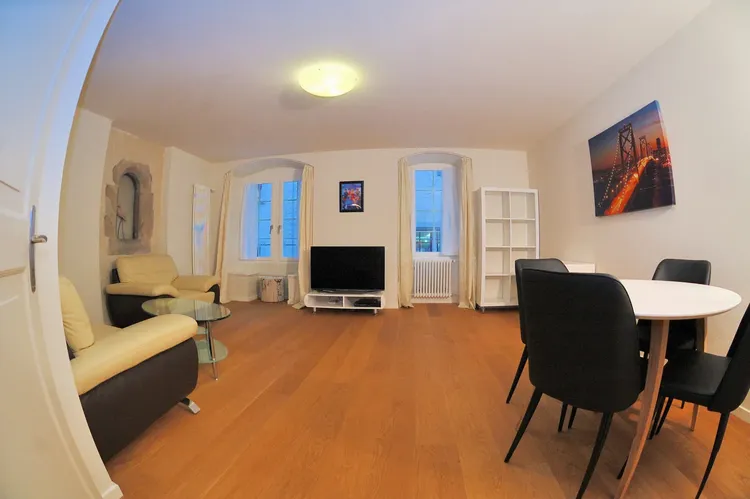 Beautiful apartment in the city center of Zurich Interior 3