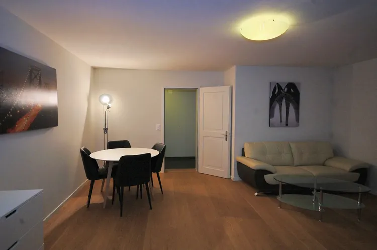 Beautiful apartment in the city center of Zurich Interior 4