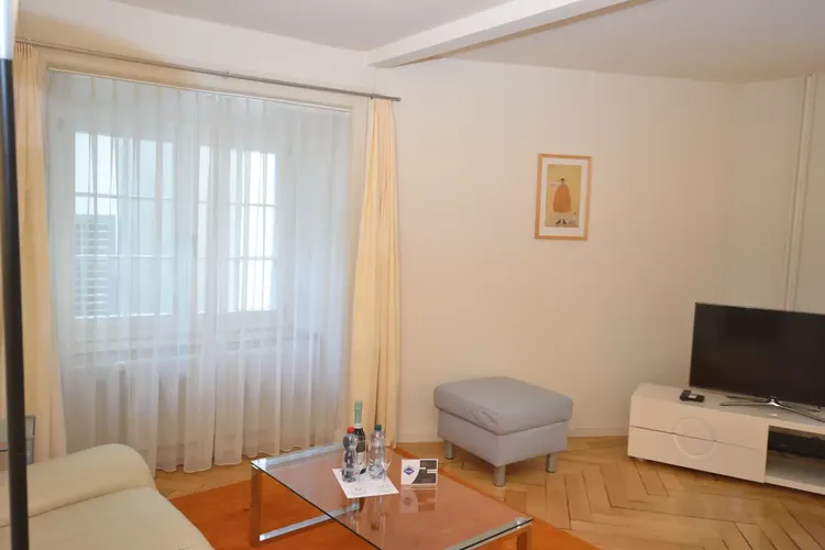 Beautiful one bedroom in the city center of Zurich Interior 2