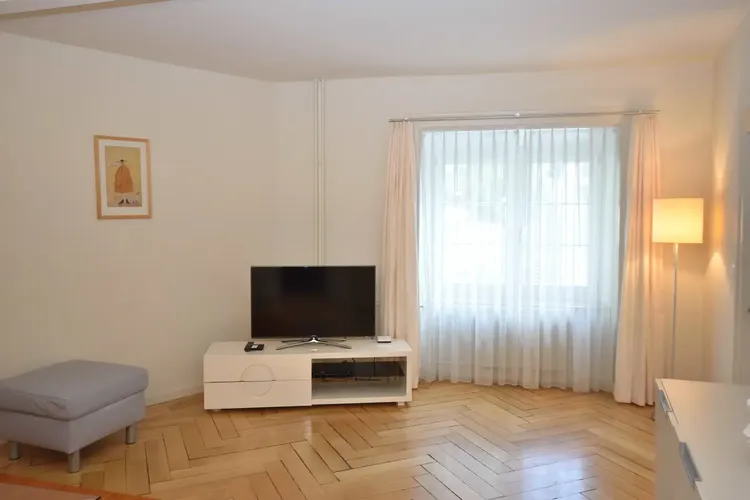 Beautiful one bedroom in the city center of Zurich Interior 3