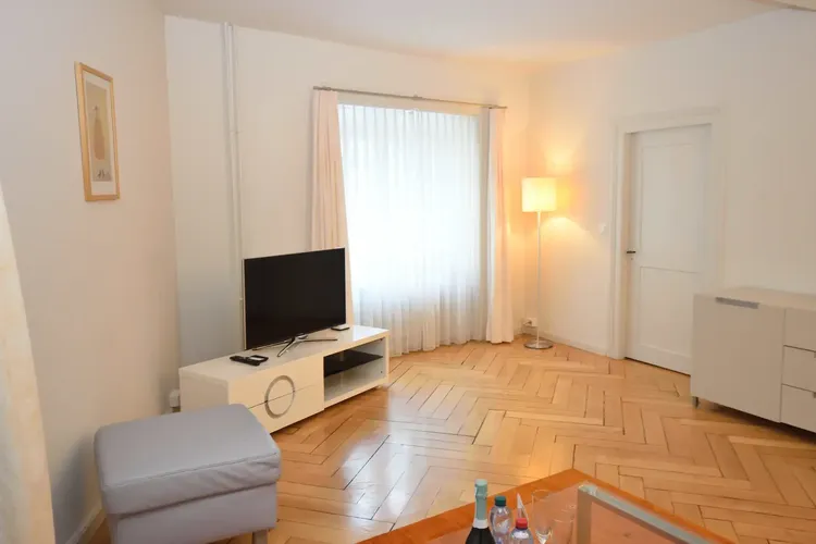 Beautiful one bedroom in the city center of Zurich Interior 4