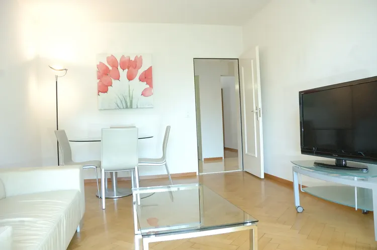 Beautiful apartment in the city center of Zurich Interior 3