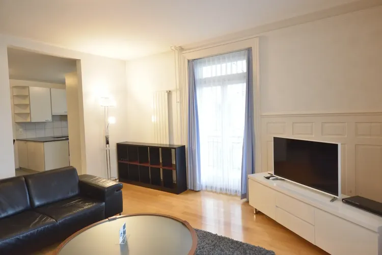 Charmant appartement de deux chambres dans un quartier résidentiel de Zurich. Interior 2