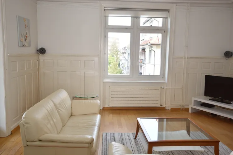 Charming 2 bedrooms in a residential area of Zurich. Interior 2