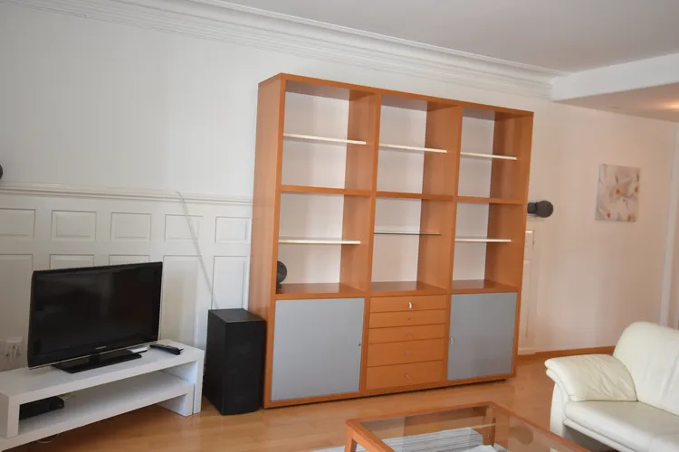 Charming 2 bedrooms in a residential area of Zurich. Interior 3