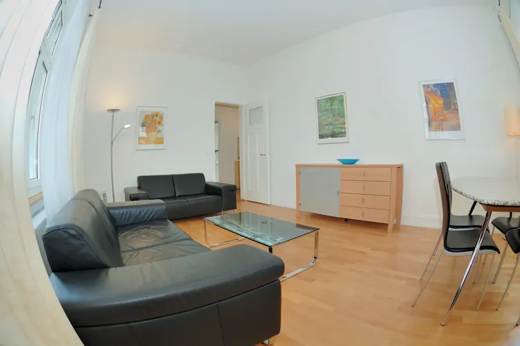 Beautiful one bedroom in a residential area of Zurich. Interior 3