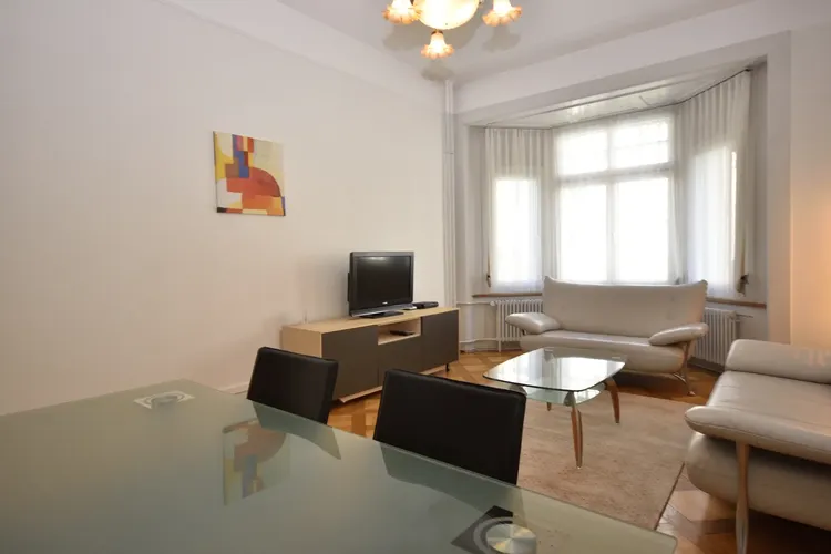 Beautiful one bedroom in a residential area of Zurich. Interior 2