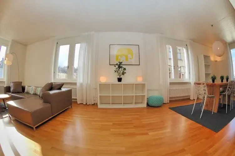  2 Bedrooms in a residential area of Zurich close to the lake. Interior 4