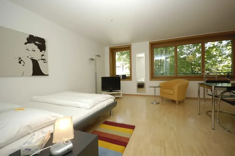 Beautiful studio in a residential area of Zurich. Interior 2