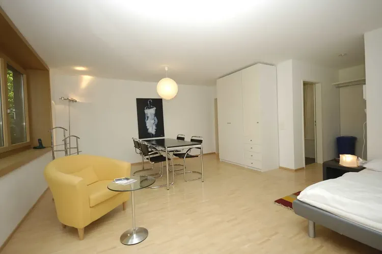 Beautiful studio in a residential area of Zurich. Interior 3