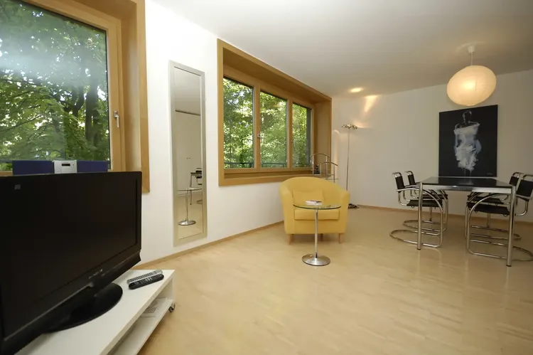 Beautiful studio in a residential area of Zurich. Interior 4
